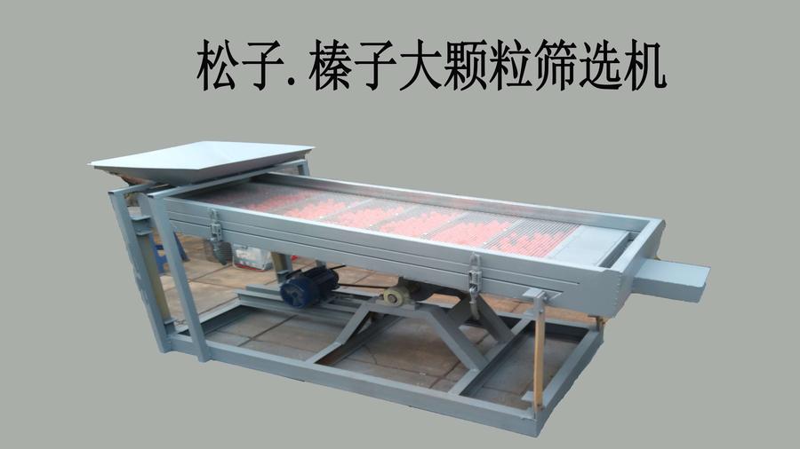 松子大顆粒篩選機(jī)